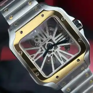 Super Clone Cartier Santos Large Skeleton WHSA0012 — side profile