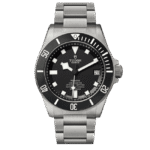 Super Clone Tudor 42mm Titanium